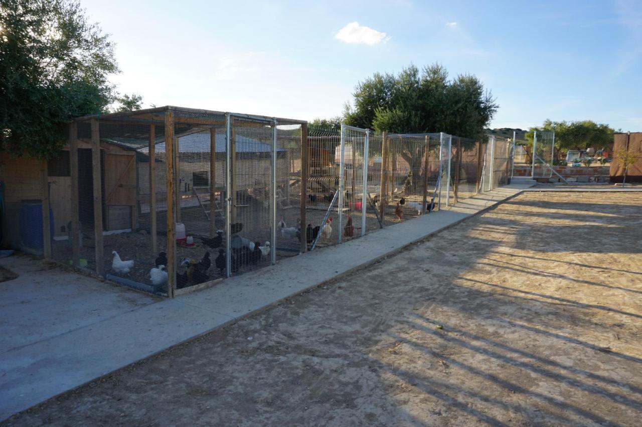 Cuchi Farm Villa Chinchón Dış mekan fotoğraf