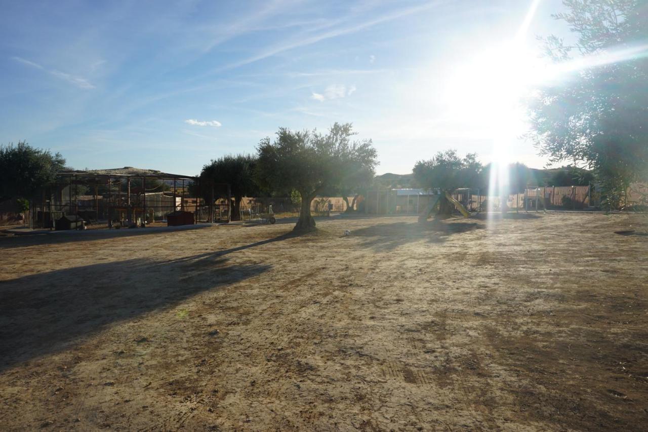 Cuchi Farm Villa Chinchón Dış mekan fotoğraf