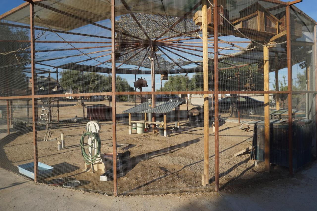 Cuchi Farm Villa Chinchón Dış mekan fotoğraf
